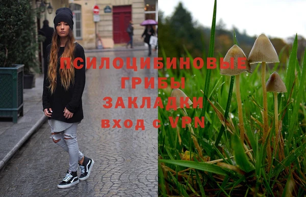 тгк Армянск