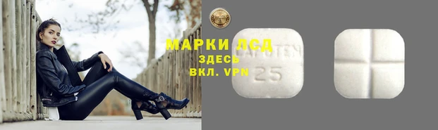 тгк Армянск