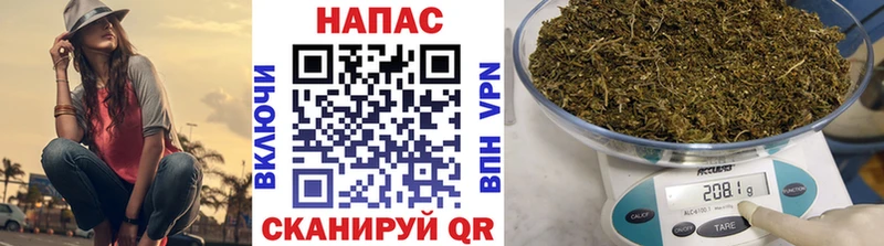 МАРИХУАНА конопля  Белинский 
